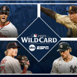 What is a wild card in sports?