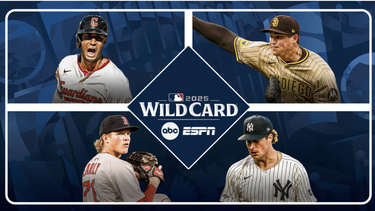 What is a wild card in sports?